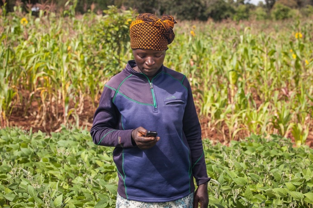 Digital extension in Zambia