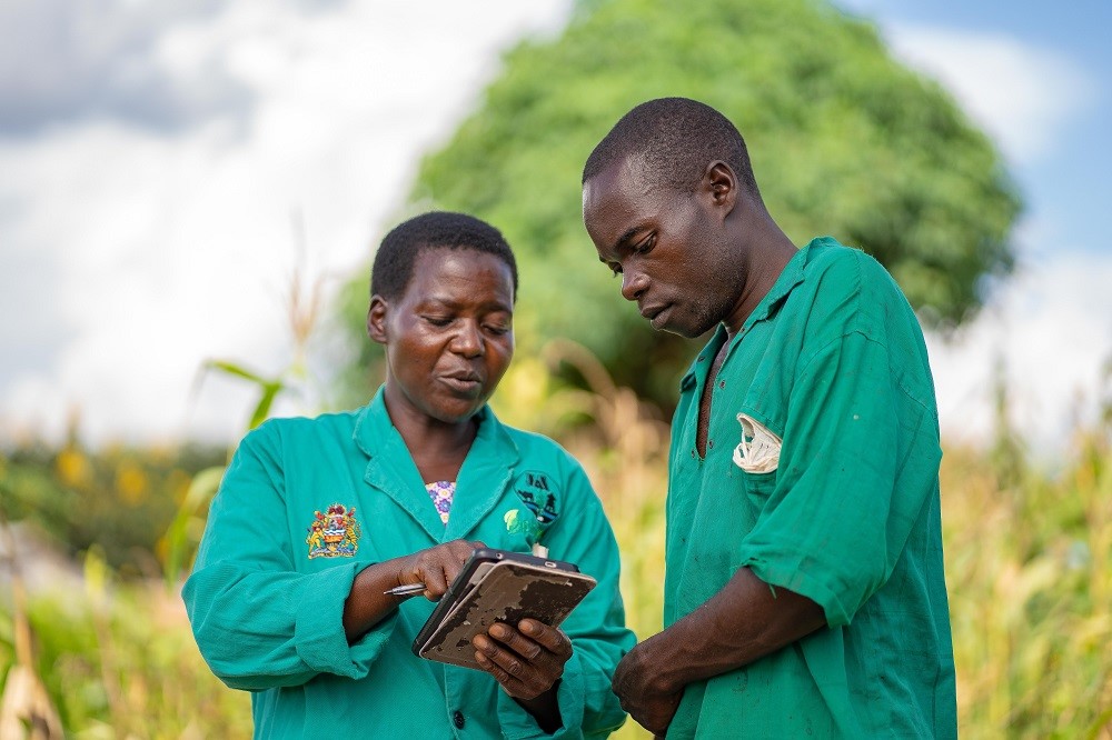 crop health advisors using a tablet device to access advisory information